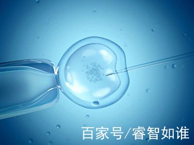 培养室